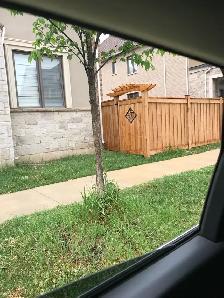 fence decks installation and repair 289-772-7822 - Photo 3