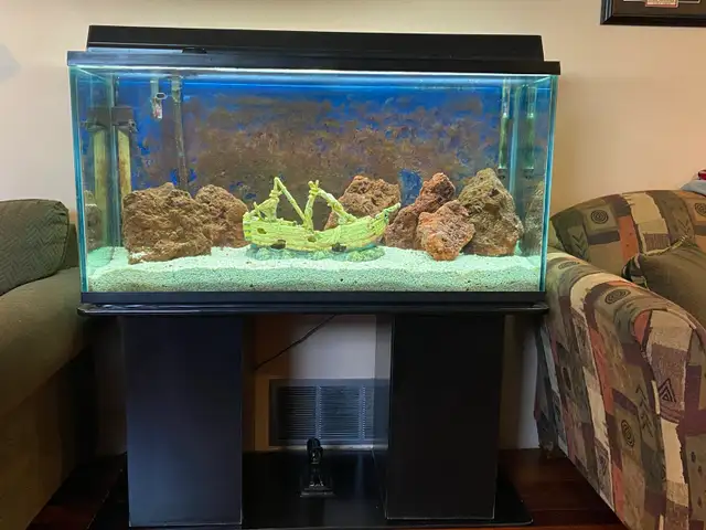 90 Gallon Aquarium