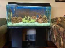 90 Gallon Aquarium