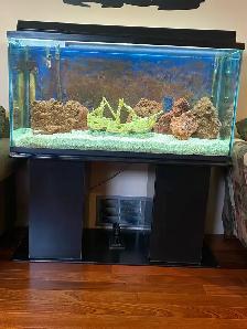 90 Gallon Aquarium - Photo 2