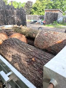 free wood