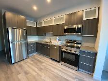 Professional Appliance Installation - Photo 2