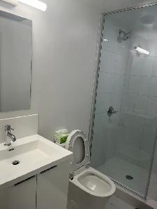 DT Yonge Dundas condo 1 bedroom with bathroom available July1 - Photo 4