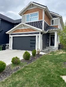 Gas Pressure Washing - Photo 10