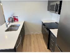 New 2 bed 2 bath condo 940 david st north fergus unit 1 - Photo 3