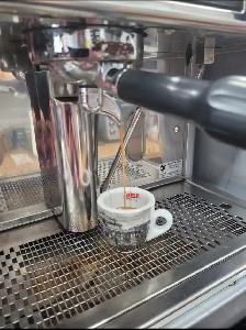 Cafe Barista (Dufferin & Wilson Area)