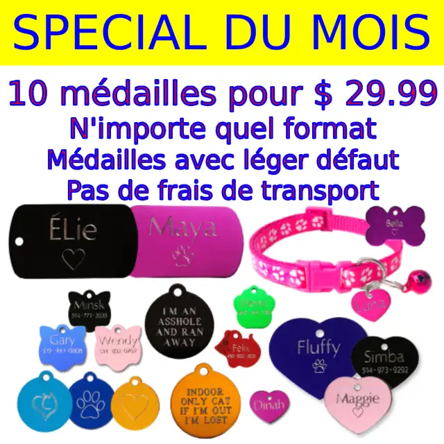 Médaille d'Identification Gravée et Collier pour Chat et Chien