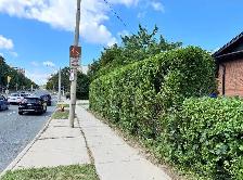 Hedge Trimmer - Photo 2