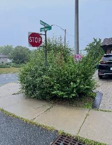 Hedge Trimmer - Photo 3