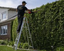 Hedge Trimmer - Photo 5