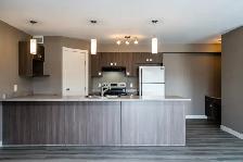 SPACIOUS 3 Bedroom Apartment In Steinbach! - Photo 9