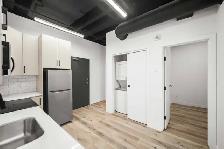 Luxury 1 Bedroom Apartment! Move In Ready! - Photo 9
