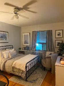 Spacious bachelor apartment for $1550 in downtown, includes heat