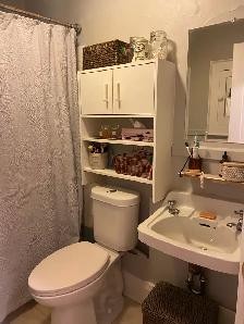 Spacious bachelor apartment for $1550 in downtown, includes heat - Photo 3