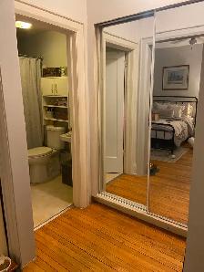 Spacious bachelor apartment for $1550 in downtown, includes heat - Photo 4