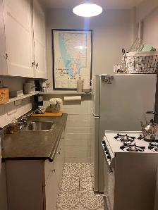 Spacious bachelor apartment for $1550 in downtown, includes heat - Photo 5