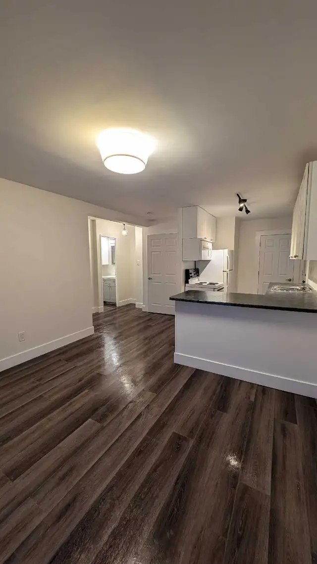 ✨Charming One-Bedroom Main FloorApartment in Palmer, Burlington✨