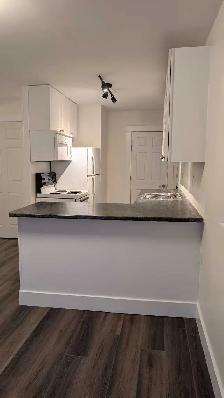 ✨Charming One-Bedroom Main FloorApartment in Palmer, Burlington✨ - Photo 2