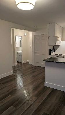 ✨Charming One-Bedroom Main FloorApartment in Palmer, Burlington✨ - Photo 3