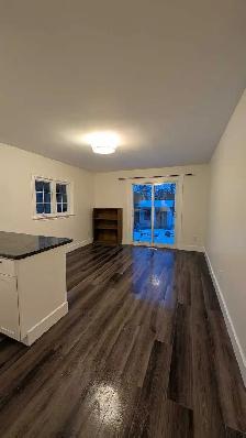 ✨Charming One-Bedroom Main FloorApartment in Palmer, Burlington✨ - Photo 4
