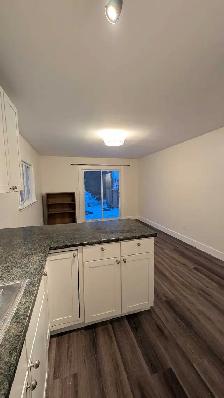 ✨Charming One-Bedroom Main FloorApartment in Palmer, Burlington✨ - Photo 5