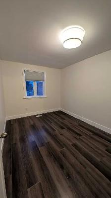 ✨Charming One-Bedroom Main FloorApartment in Palmer, Burlington✨ - Photo 8