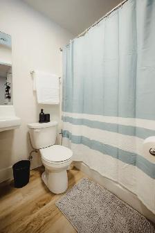 FURNISHED 1 Bedroom Apartment! Move In Ready! - Photo 6