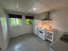 ONE BEDROOM ALL IN $1595 - Photo 6
