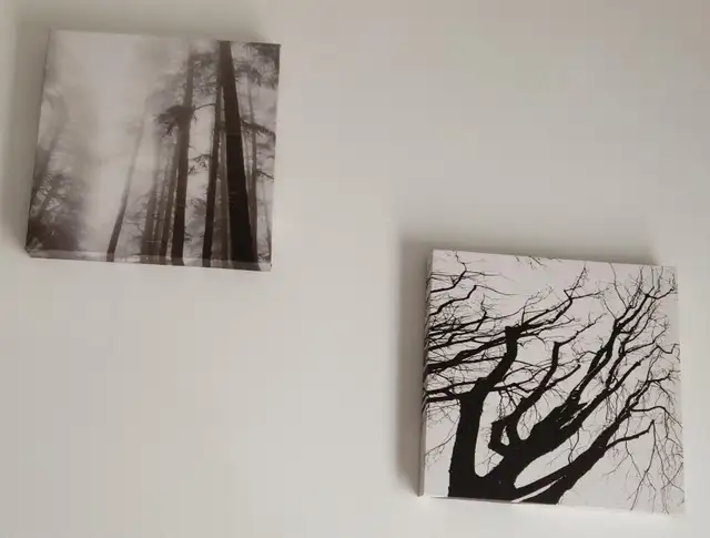 Pictures
