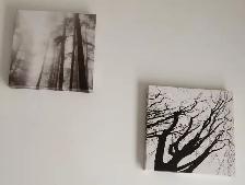 Pictures