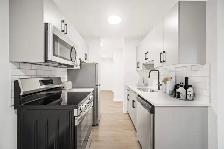 NEWLY Renovated 1 Bedroom Apartment! Move In Ready!