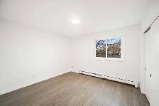 NEWLY Renovated 1 Bedroom Apartment! Move In Ready! - Photo 10
