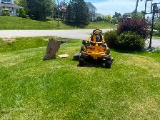 Lawn Mowing - Photo 2