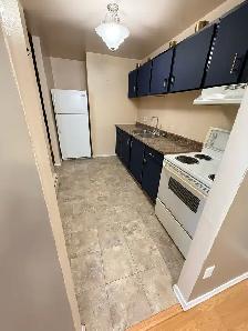 Lovely & Large All Inclusive 2 Bdrm Apt Available July 1st - Photo 4