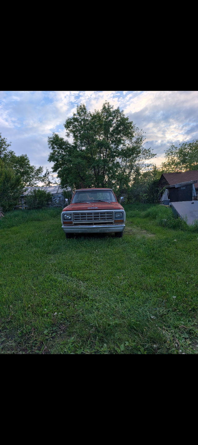 1981 Dodge Ram