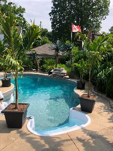 House for sale - Photo 9