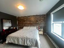 Your Perfect Family Home Awaits in Eastern Passage! - Photo 16