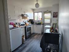4 1/2 Metro Fabre - Photo 4