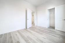 Renovated 1 Bedroom Apartment! Move In Ready! - Photo 6