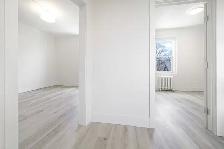 Renovated 1 Bedroom Apartment! Move In Ready! - Photo 12