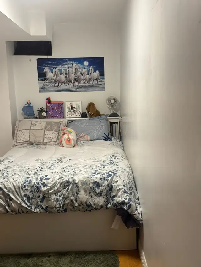 Basement room  for rent, steps to Seneca@york $800.
