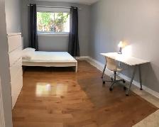 $850/month, ALL-IN,  Alongonquin College/Carleton University - Photo 2