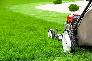 Lawn Care services available  in Acadia area - Low rates