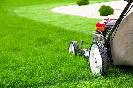 Lawn Care services available  in Acadia area - Low rates