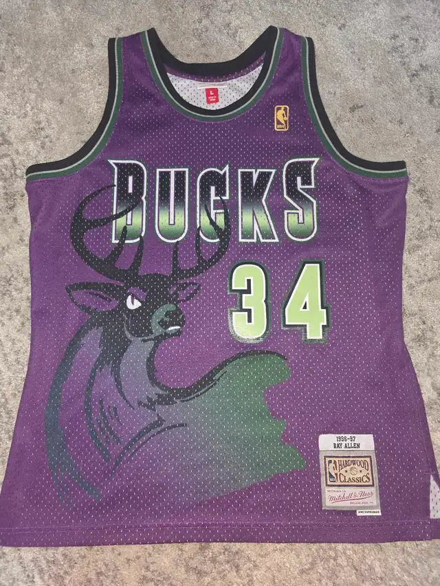 Ray Allen Bucks Jersey