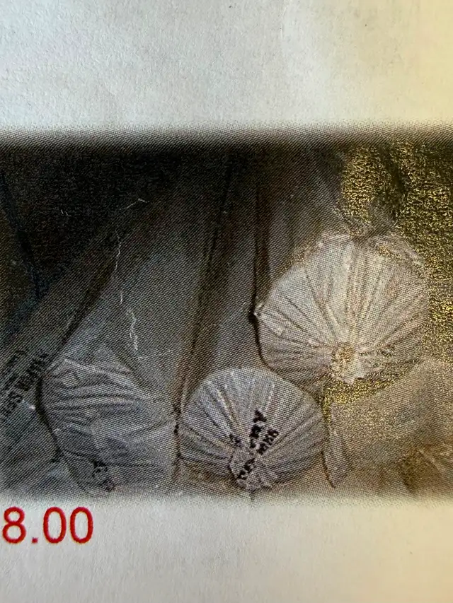 Ground sheet poly.