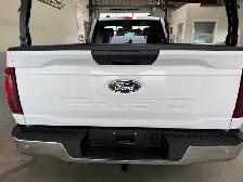 2024 Ford F 150 XL / Reg.Cab / 4x4 / 8ft. Box / Warranty - Photo 4
