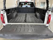 2024 Ford F 150 XL / Reg.Cab / 4x4 / 8ft. Box / Warranty - Photo 6