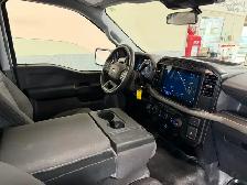 2024 Ford F 150 XL / Reg.Cab / 4x4 / 8ft. Box / Warranty - Photo 11