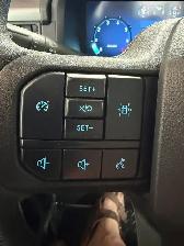 2024 Ford F 150 XL / Reg.Cab / 4x4 / 8ft. Box / Warranty - Photo 23